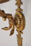Elegant pair of French Empire style sconces