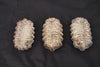 Set of three 1960's French sconces/flush lights