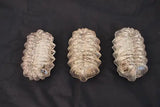 Set of three 1960's French sconces/flush lights