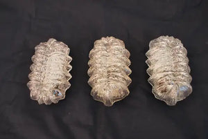 Set of three 1960's French sconces/flush lights