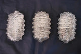 Set of three 1960's French sconces/flush lights