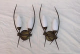 Rare and large sexy French 1950's sconces, ( we have the matching chandelier )