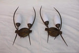 Rare and large sexy French 1950's sconces, ( we have the matching chandelier )