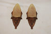 Elegant pair of Art deco sconces
