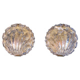 Beautiful 1970's Murano glass shell sconces