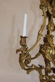 Beautiful and rare turn of the Century French Bronze chandelier