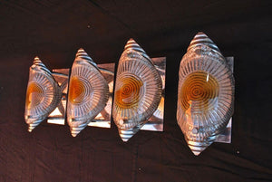 Elegant Set of Four Murano Sconces by Mazzega