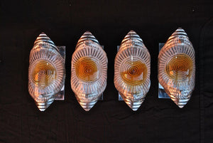 Elegant Set of Four Murano Sconces by Mazzega