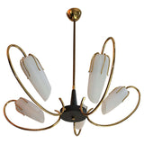 Mid Century French 1950 Chandelier