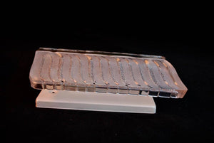 Elegant Pair of 1960s Sconces Design by Carl Fagerlund with an Art Deco Style