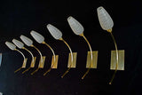 Rare Antiques Set Of Seven Mid Century Large French Sconces